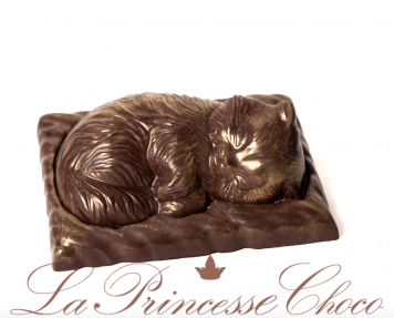 Шоколадная шкатулка с конфетами "Котик"